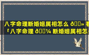 八字命理断婚姻属相怎么 🌻 看「八字命理 🌼 断婚姻属相怎么看出来」
